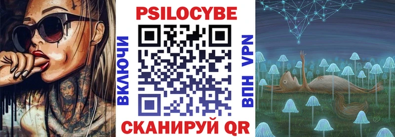 Галлюциногенные грибы Psilocybe  Зима 
